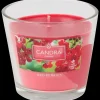 Candra geurkaars in glas | Action NL Sale