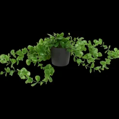Excellent Flowers hangplant in pot | Action NL Sale