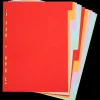 Office Essentials A4 tabbladen | Action NL Best
