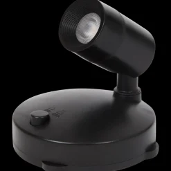 Planten spotlight | Action NL Clearance