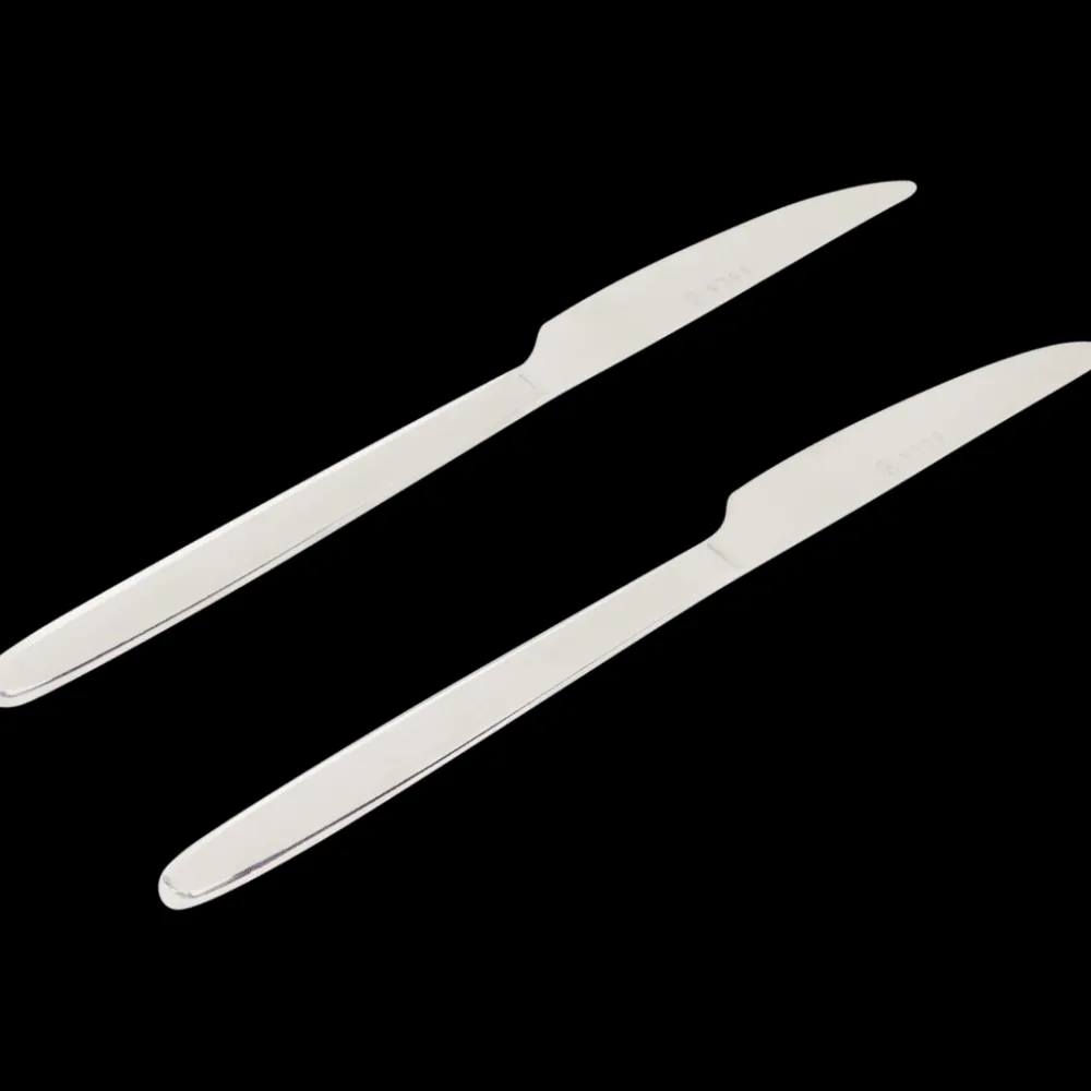 Sola Ibiza messen Zilver 2 Stuks | Action NL Best